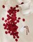 200pcs Silk Flower Petals for Wedding, Rose Petals for Decoration, Fake Flower Petals for Bridal Showers, Flower Girl Petals for Anniversaries and Parties